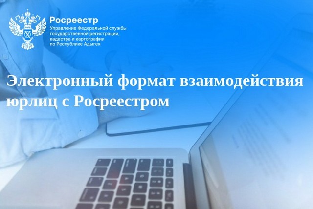 foto 2025 06 26 09 49 002
